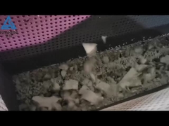 Mesin daur ulang EPS dalam operasi